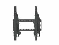 v8_666_bd6 v8_666_bd6