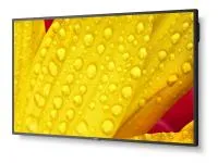 v8_666_32a v8_666_32a