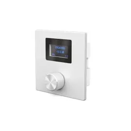 CVGAUDIO P-ZONER-W/IP/A