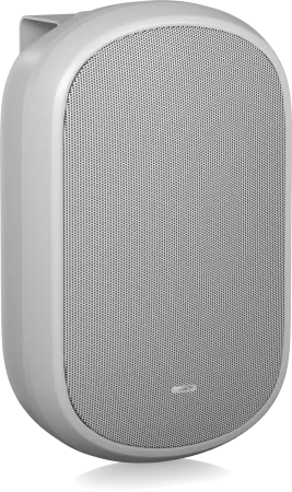 Купить Tannoy DVS 601-WH по выгодной цене в Челябинске