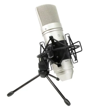 Купить Tascam TM-80 по выгодной цене в Челябинске