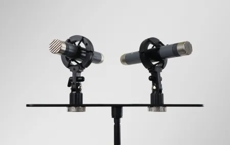 Купить AuraSonics AP22-MP по выгодной цене в Челябинске