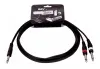 INVOTONE INSC200