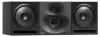 Genelec 1234ACPM-HD