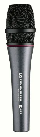 Купить SENNHEISER E 865 по выгодной цене в Челябинске
