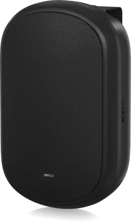 Купить Tannoy DVS 601 по выгодной цене в Челябинске