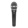 ROCKDALE PRO Voice GRX 1