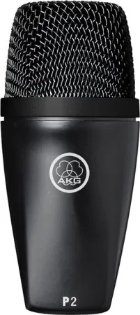 Купить AKG P2 по выгодной цене в Челябинске