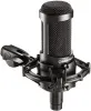 Купить Audio-Technica AT2035 по выгодной цене в Челябинске