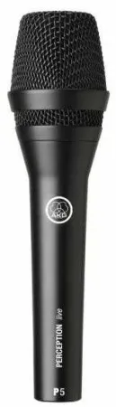 Купить AKG P5S по выгодной цене в Челябинске