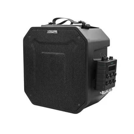 Купить DSPPA LRAS-1515A по выгодной цене в Челябинске