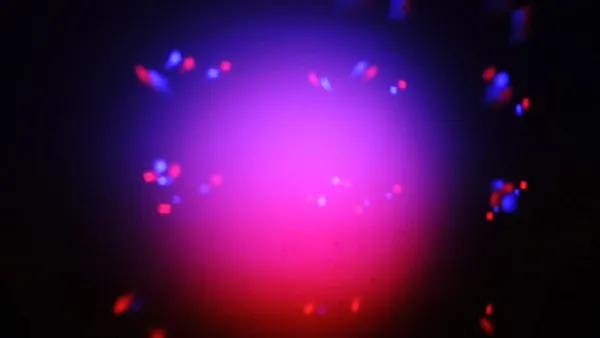 INVOLIGHT MLS HEX28 INVOLIGHT MLS HEX28