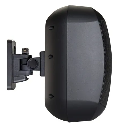 Купить BIAMP MASK6C-BL по выгодной цене в Челябинске