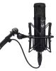 Купить WARM AUDIO WA-47jr по выгодной цене в Челябинске