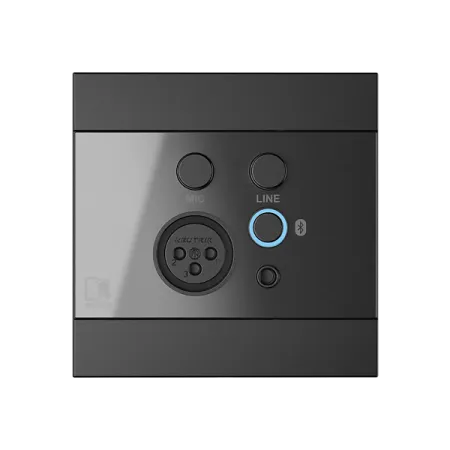 Купить AUDAC WP225/B по выгодной цене в Челябинске