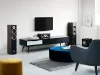 Купить DALI GRILLE SPEKTOR 6 BLACK по выгодной цене в Челябинске