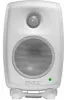 Купить Genelec 8010AW по выгодной цене в Челябинске
