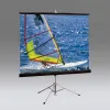 Draper Diplomat/R NTSC (3:4) 244/96" (100", 8') 152*203 XH800E