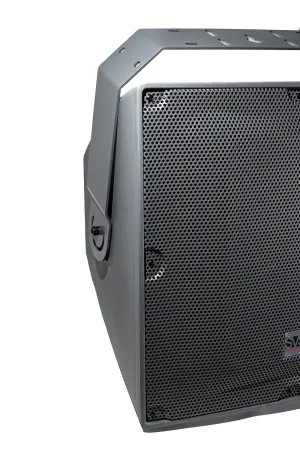 Купить SVS Audiotechnik IP-15T по выгодной цене в Челябинске