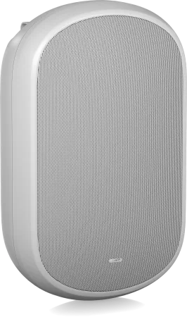 Купить Tannoy DVS 801-WH по выгодной цене в Челябинске