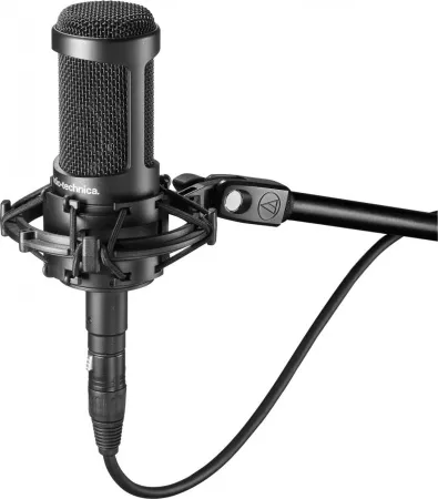 Купить Audio-Technica AT2035 по выгодной цене в Челябинске