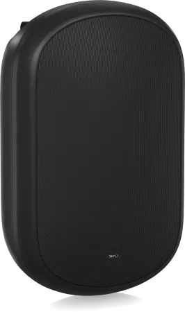 Купить Tannoy DVS 801 по выгодной цене в Челябинске