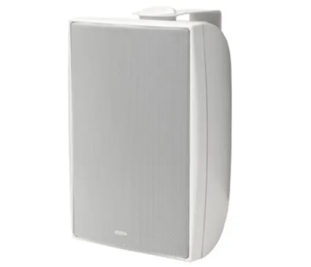 Купить TANNOY DVS 6 по выгодной цене в Челябинске