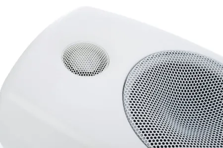Genelec 8010AW