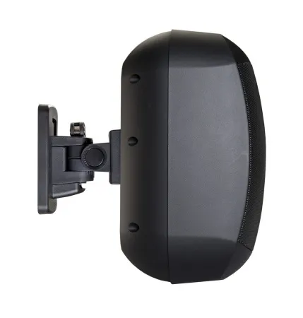 Купить BIAMP MASK6CT-BL по выгодной цене в Челябинске