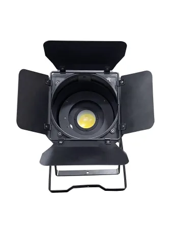 XLine Light LED PAR 200WB COB