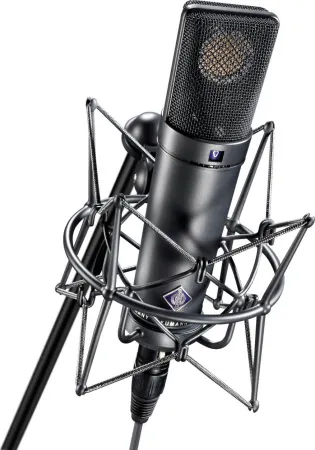 Купить NEUMANN U 89 i по выгодной цене в Челябинске