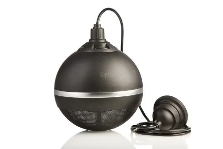 Картинка с сайта