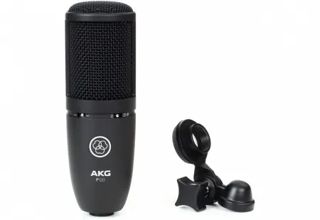 Купить AKG P120 по выгодной цене в Челябинске