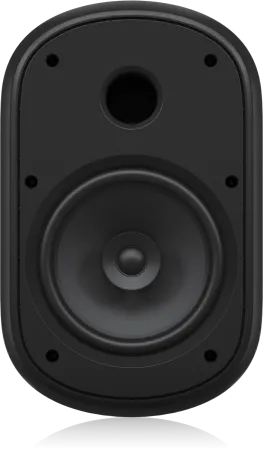 Купить Tannoy DVS 801 по выгодной цене в Челябинске