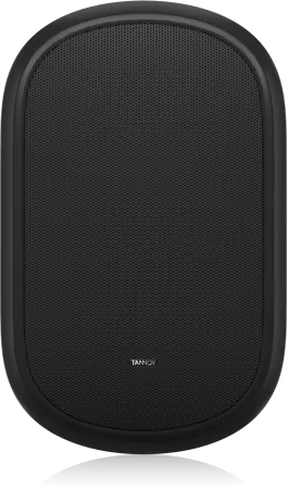 Купить Tannoy DVS 401 по выгодной цене в Челябинске