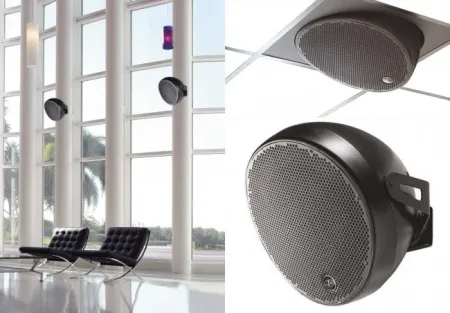 Купить DAS Audio OVI 12 по выгодной цене в Челябинске