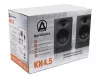 Купить AuraSonics KN4.5 по выгодной цене в Челябинске
