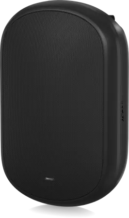 Купить Tannoy DVS 801 по выгодной цене в Челябинске