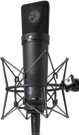Купить NEUMANN U 87 Ai MT по выгодной цене в Челябинске