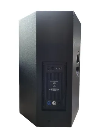 Купить SVS Audiotechnik FS-15A DSP по выгодной цене в Челябинске