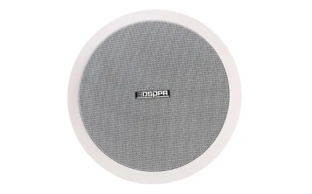 Купить DSPPA DSP-804 по выгодной цене в Челябинске