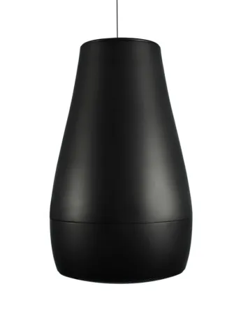 Купить BIAMP Desono P6 Black по выгодной цене в Челябинске