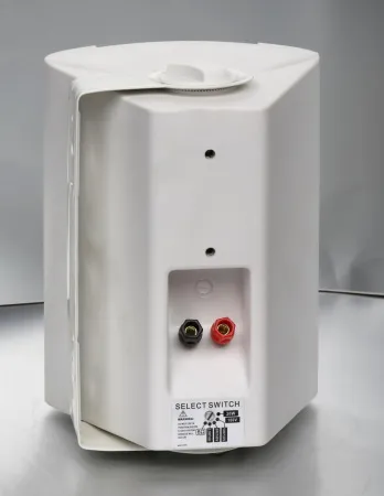Купить SVS Audiotechnik WS-20 White по выгодной цене в Челябинске