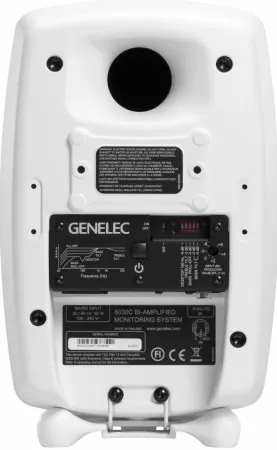 Купить Genelec 8030CW по выгодной цене в Челябинске