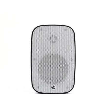 Купить AuraSonics DENSE-5T-WH по выгодной цене в Челябинске