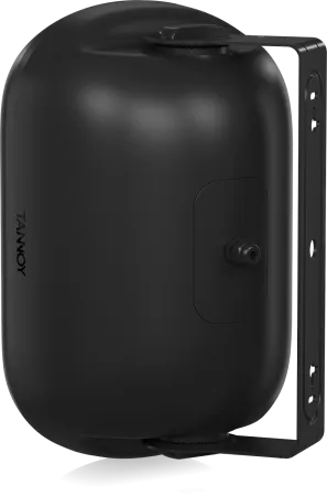 Купить Tannoy DVS 601 по выгодной цене в Челябинске