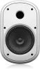 Купить Tannoy DVS 801-WH по выгодной цене в Челябинске