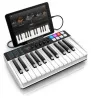 Купить IK MULTIMEDIA iRig Keys I/O 25 по выгодной цене в Челябинске