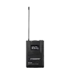 Купить Pasgao PAW-920 Rx_2x PBT-801 TxB по выгодной цене в Челябинске