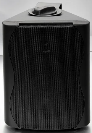 Купить SVS Audiotechnik WS-20 Black по выгодной цене в Челябинске